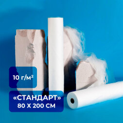 Простыня одноразовая Стандарт, 10 гр/м2, 80х200 см, белая, спанбонд, 100 штук