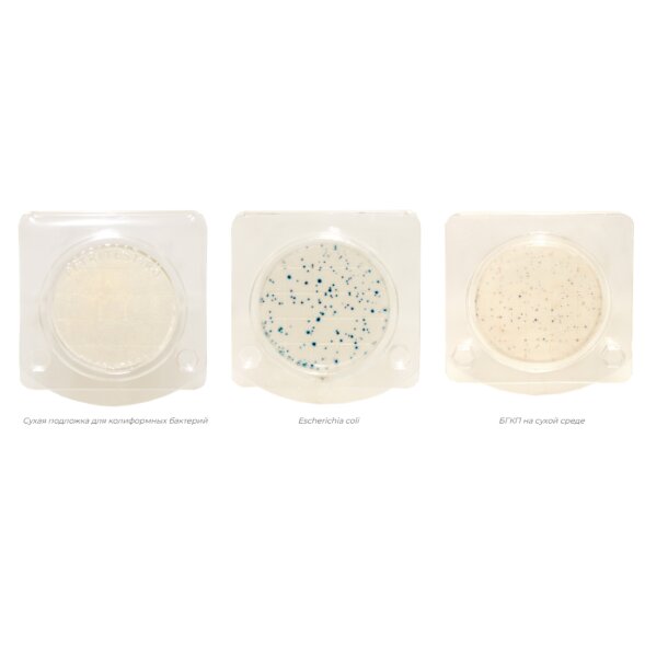 PSBGKP-10 Петритест сухой на E.coli и колиформные бактерии (БГКП) (10 тестов)
