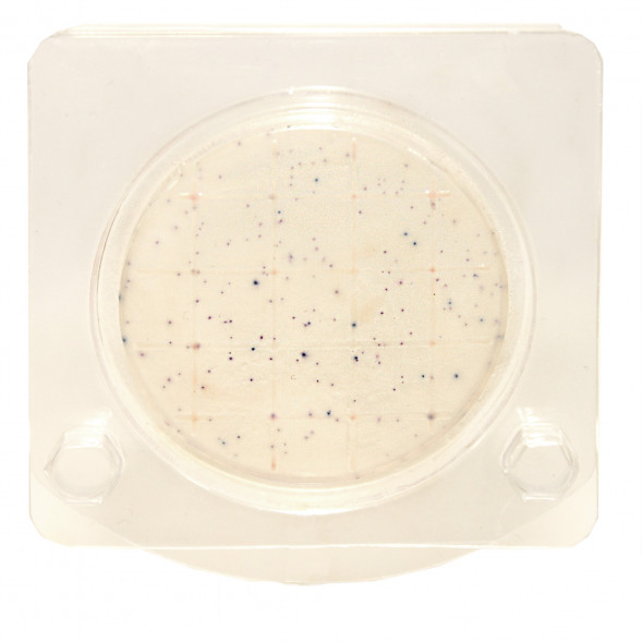 Петритест сухой (подложка) на E.coli и колиформные бактерии (БГКП), 10 тестов, PSBGKP-10, 152341998, 903735571
